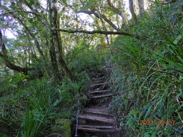 臺東 東河 都蘭山1262052