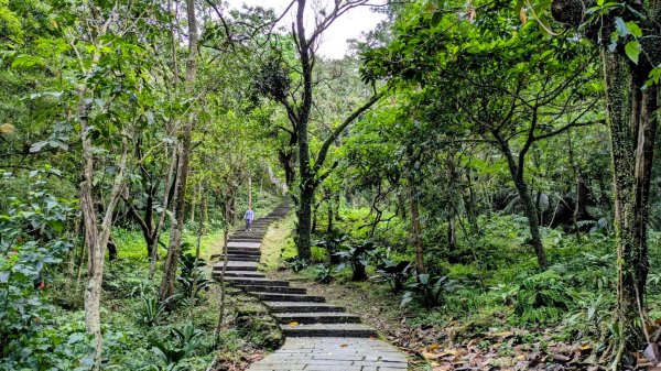 大尖山。走向2770852