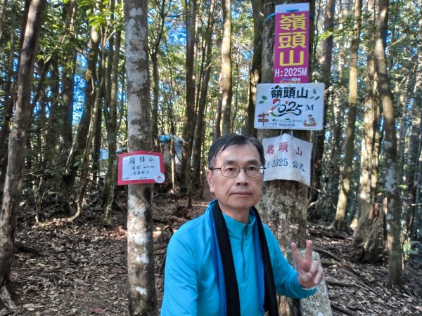 金柑樹、嶺頭山、忘憂森林2956104