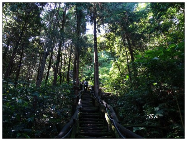 台中/大坑4號步道634917