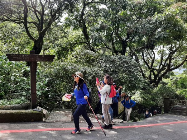 漫遊天母→猴洞→半嶺→湖山→前山公園→紗帽山登山口→陽明醫院舊址1494832