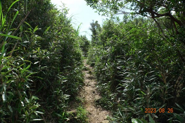 基隆 頂寮山、龍門山、五分山、頂子寮山2265951