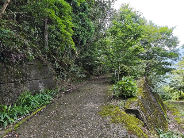 2025_0601 赫威山2802291