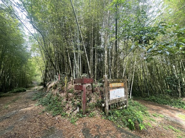 集集大山-車程步道竹林登山口202206121736354