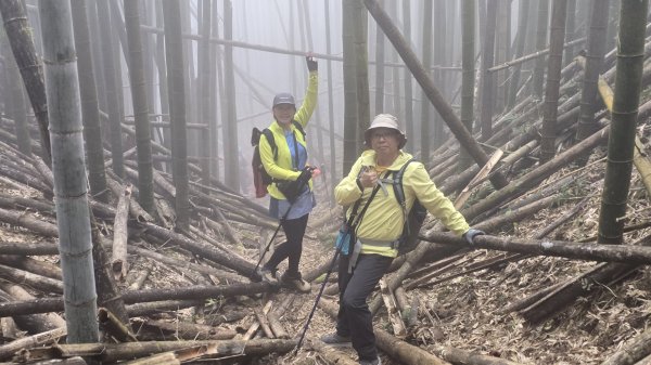 忘憂森林有一種美無法形容，雲霧繚繞，水氣朦朧，全台入園數第一名的森林遊樂區，溪頭自然教育園區2729334
