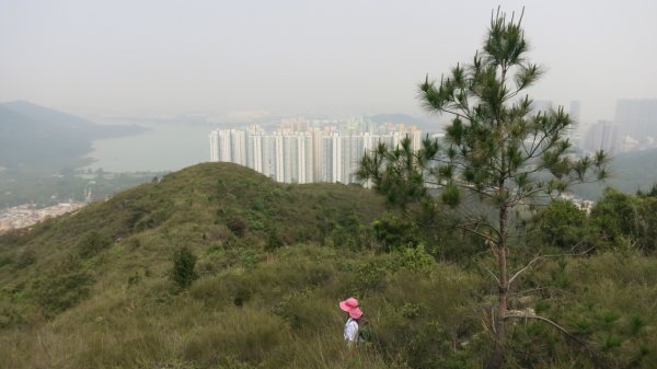 香港山系 － 大嶼山931053