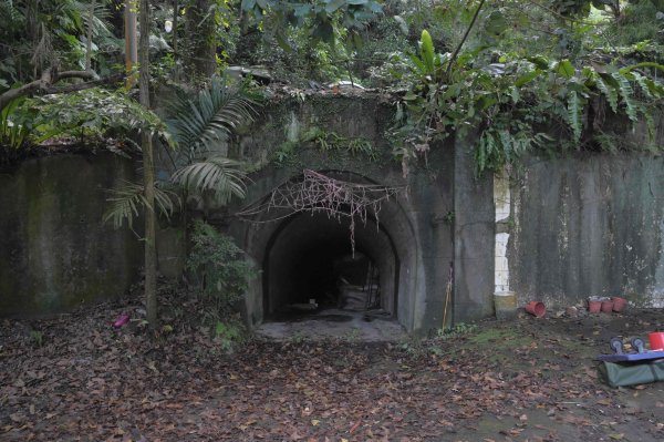 20251202松山療養所所長宿舍-新庄仔埤賞鳥平台-松山二坑-松山煤礦-松山機場觀景台2952810