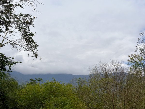 林田山林業文化園區2728236