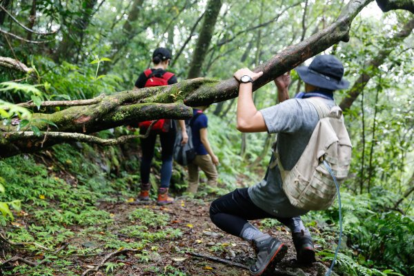 【活動】步道多走走，煩惱不會有 10處淡蘭服務據點、10條深度遊，古道行忘卻煩憂