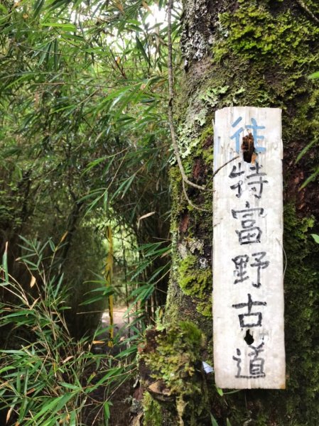 特富野-兒玉山-東水山1076034