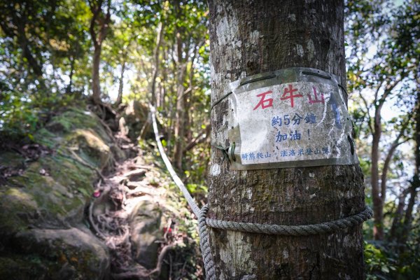 新竹關西鎮 石牛山938213