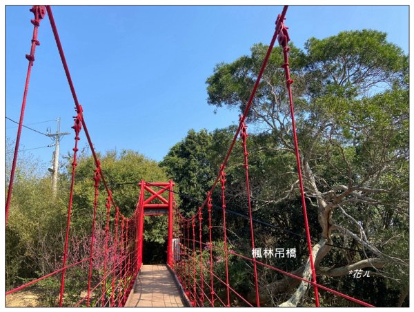 老崎古道、老崎坪頂山 (頭份)2737162