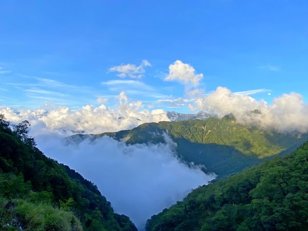 再上玉山前峰    2020/6/5985728