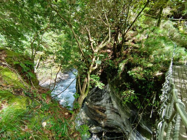 兩颱風之間空擋登屏風山巧遇保育類動物+出大景2237833