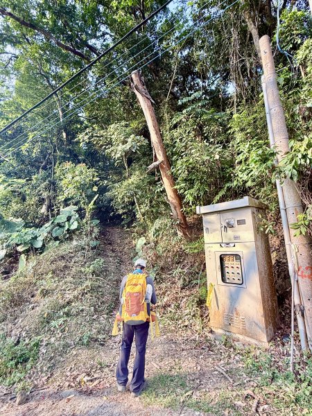 16年後重逢糖子恩山   2026.3.253026311