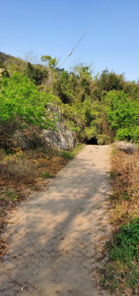 2023-03-12馬那邦山登山步道2065820