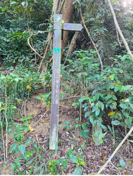 烏山嶺水利古道順走竹高崙山3連峰2670095