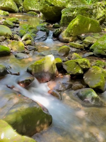 內湖圓覺尖 鯉魚山 鯉魚山東峰走一圈3044157