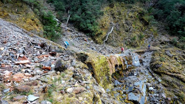 深藏在郡大林道被遺忘的明珠清水山、金子山、郡大山三日1943811