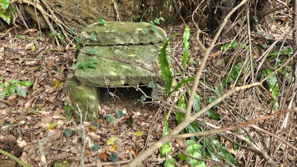 20250302玉田古道-瑪鋉三山出武聖街2725258