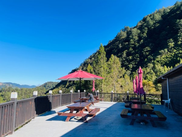 1140825司馬庫斯新巨木園區-司立富瀑布-部落觀景台2871150