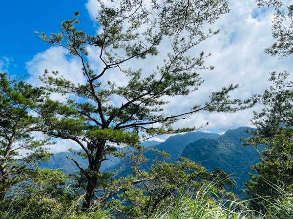 1140824司馬庫斯觀霸步道-賞楓步道2871102
