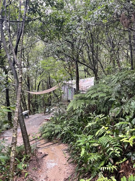 台北大縱走第四段2798718