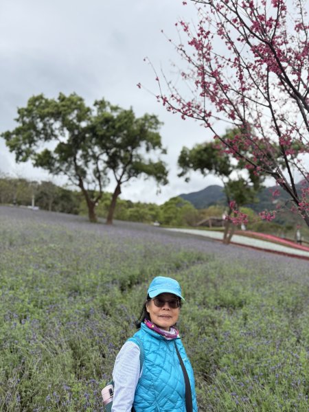 三層崎公園2717930