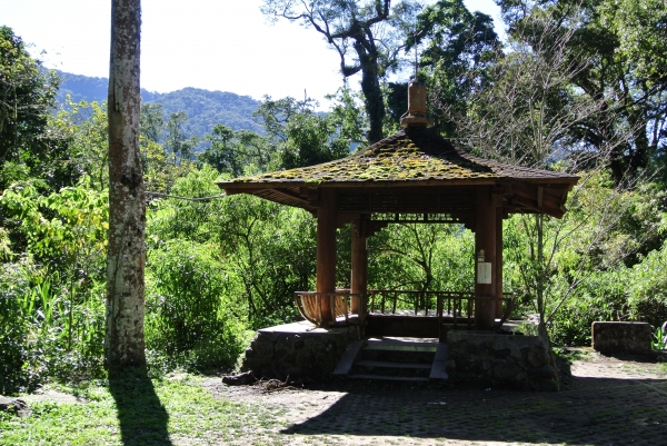 特富野古道+梯子板山25561