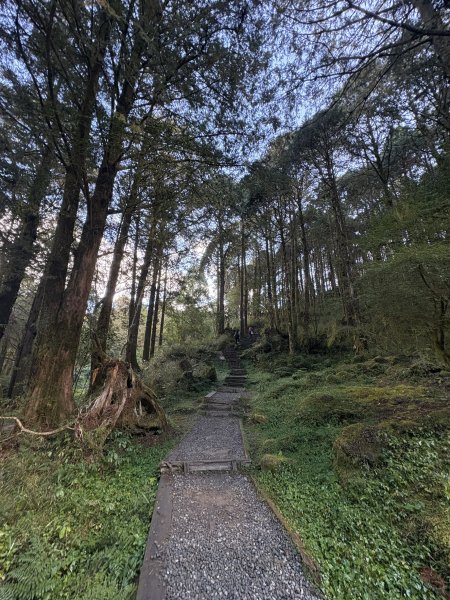 20251225塔山步道(大塔山)2970290