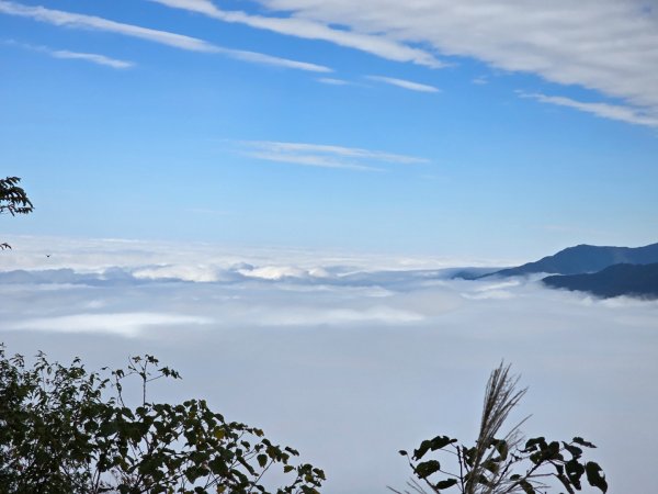馬那邦山之雲海／雲瀑／楓紅／太陽琉璃光2668268