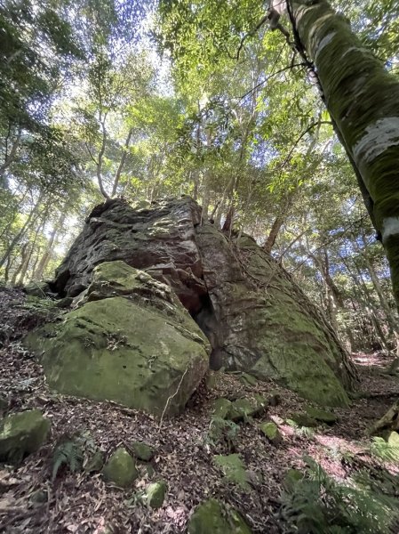 加里山隘勇線2913127