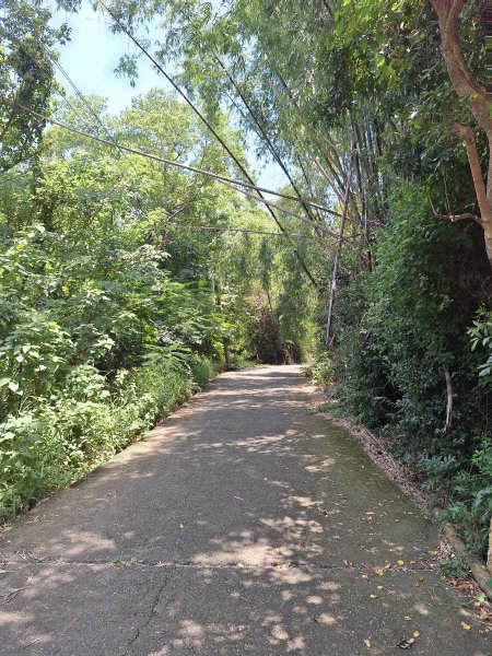 田中麒麟山森林步道202508172862012