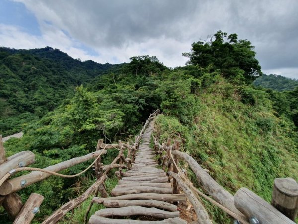 【公告】臺中市大坑2、3、4、8號等登山步道整修工程持續進行中