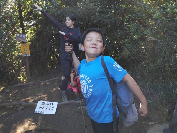 晴空加里山雲裡杜鵑嶺霧裡尋鐵道1146466