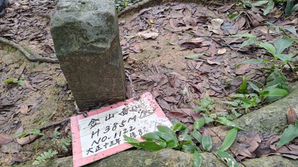 桃園金面山3077111