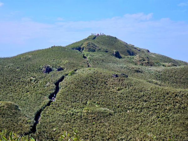 2026年臺北大縱走第三段：小油坑至風櫃口(七星山段)3029534