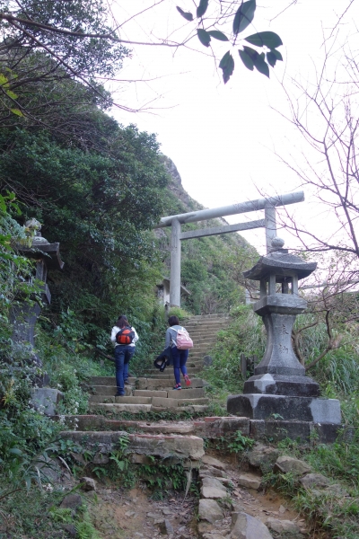 【步道小旅行】芒草佈滿茶壺山2008