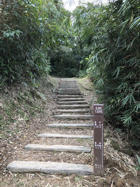 台灣小百岳No.011姜子寮山908418