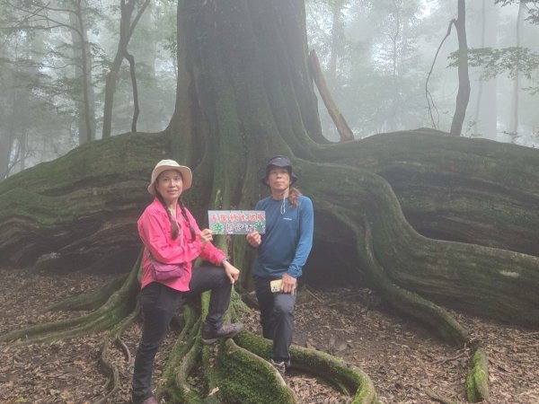 觀雪縱走~大園登山協會2828644