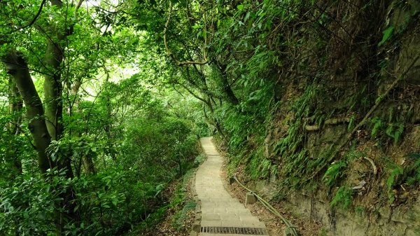 象山環型步道2221634