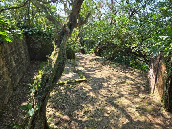 社寮東砲台2702067