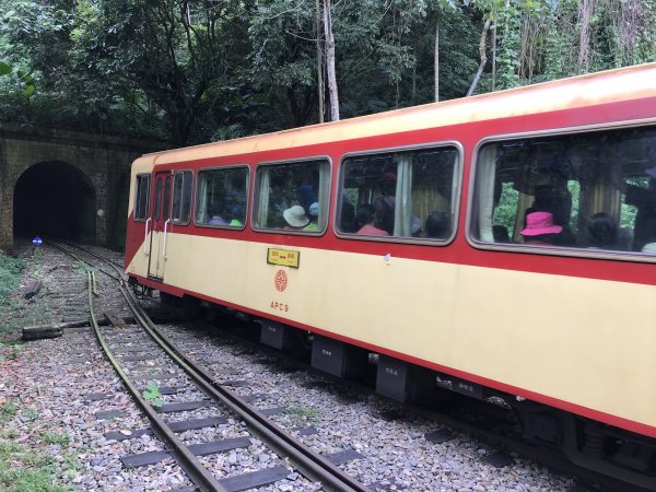 109年9月6日嘉義 獨立山步道1095645