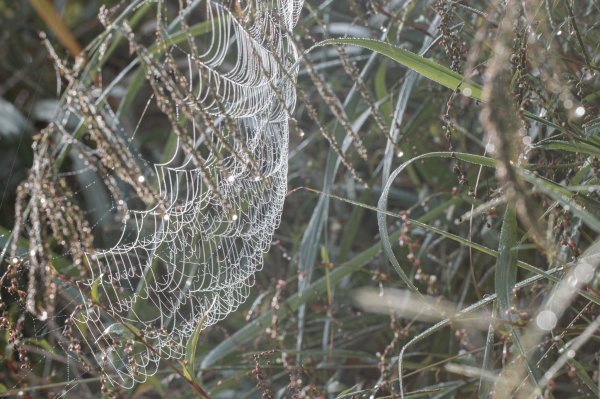 探訪台北溪流之美｜桶後越嶺古道（礁溪-烏來）2911747