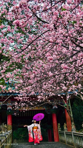 內湖碧山巖 2/182714794