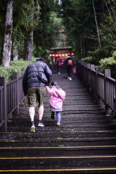 太平山之旅2376120