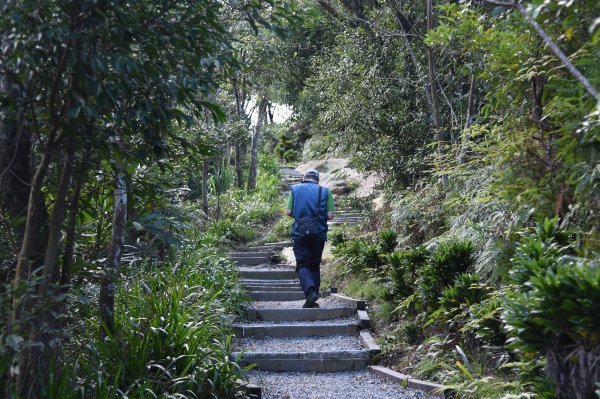 南勢角山（烘爐地）1296666