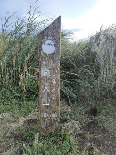 1131005向天山3097991