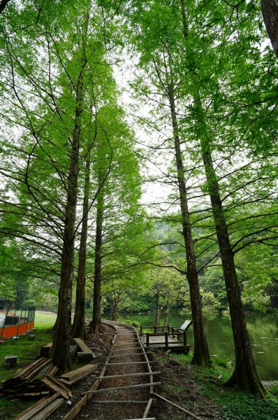 新北 烏來 志良久山3035176