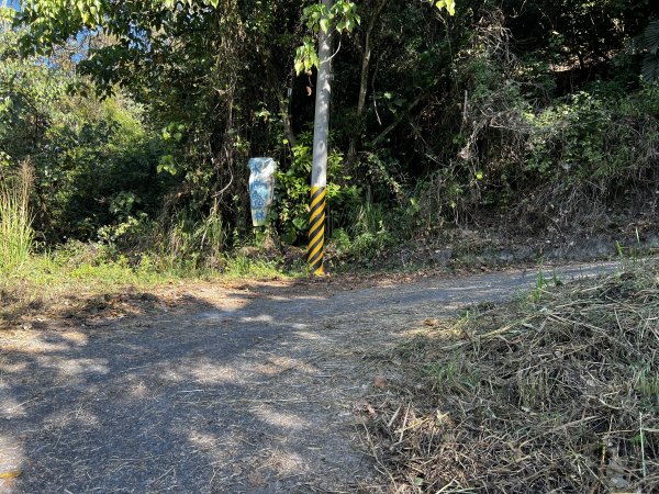 眉冷山步道 梅島山 眉冷山1985693